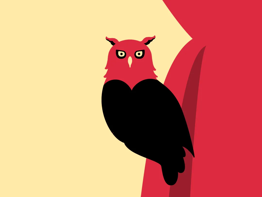 Donizetti Opera-Copertia-il-gufo-investigatore